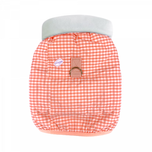 ǰ 