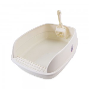 ��ǰ ������