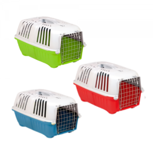 ��ǰ ������