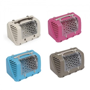 ��ǰ ������