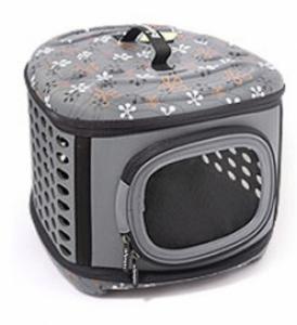 ��ǰ ������